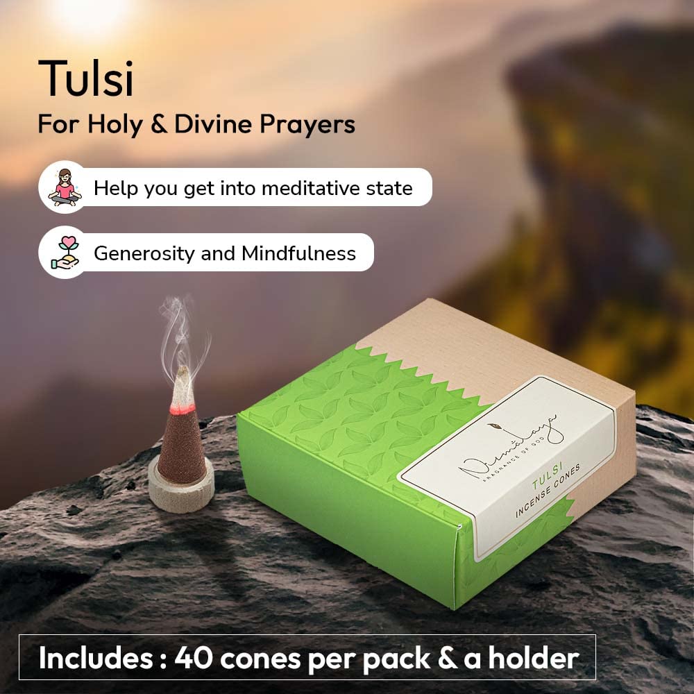 Tulsi Backflow Refill Pack Incense Cones