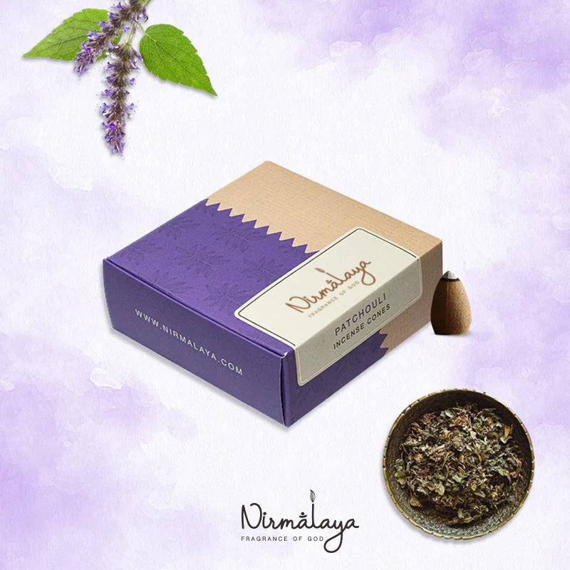 Patchouli Backflow Refill Pack Incense Cones