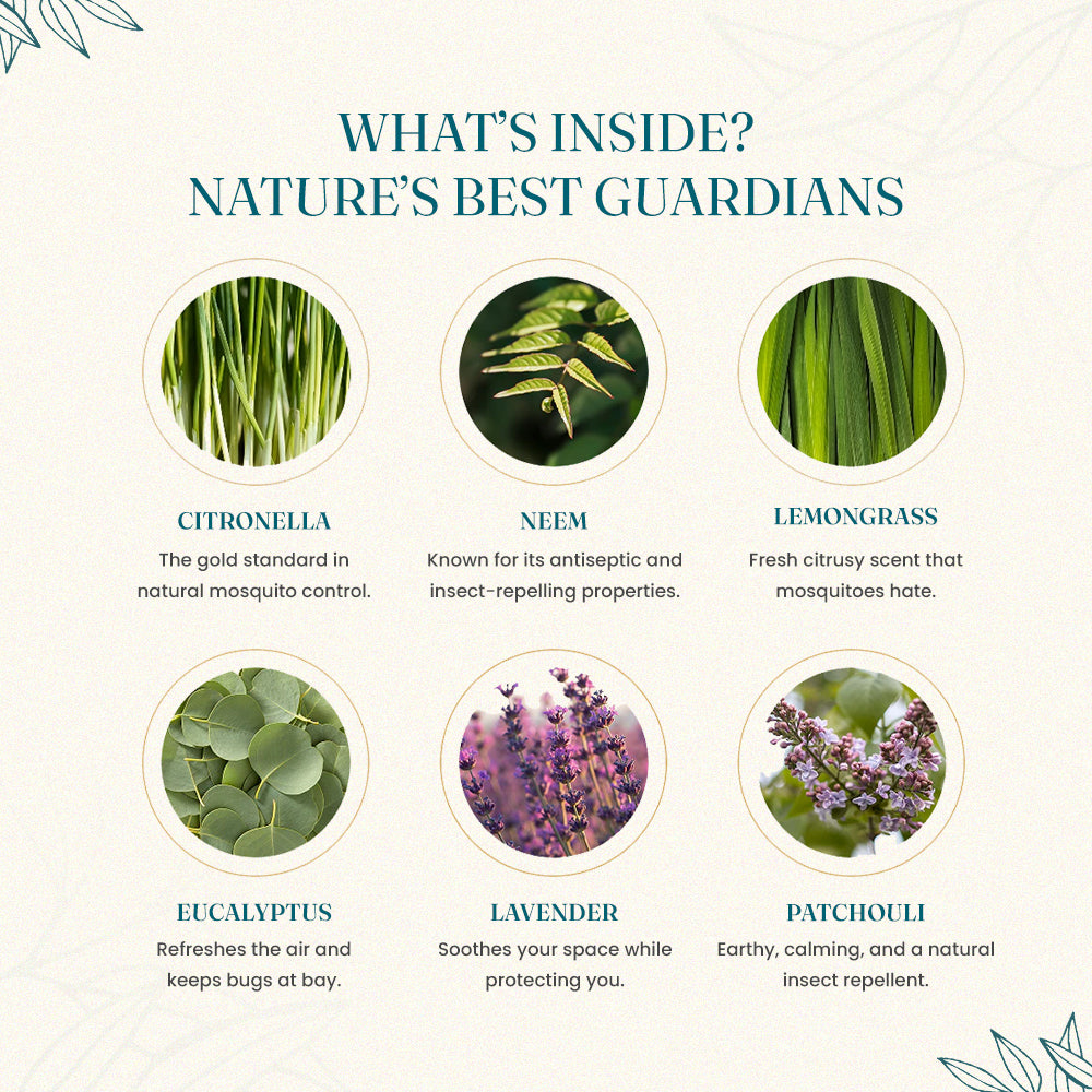 MOSQUITO-REPELLENT INCENSE STICKS (Pack of 2)