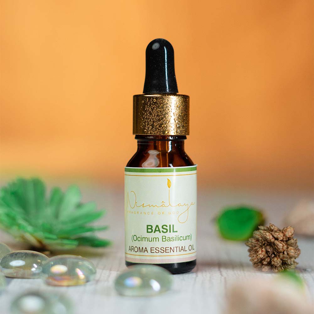 Basil Aroma Essential Oil