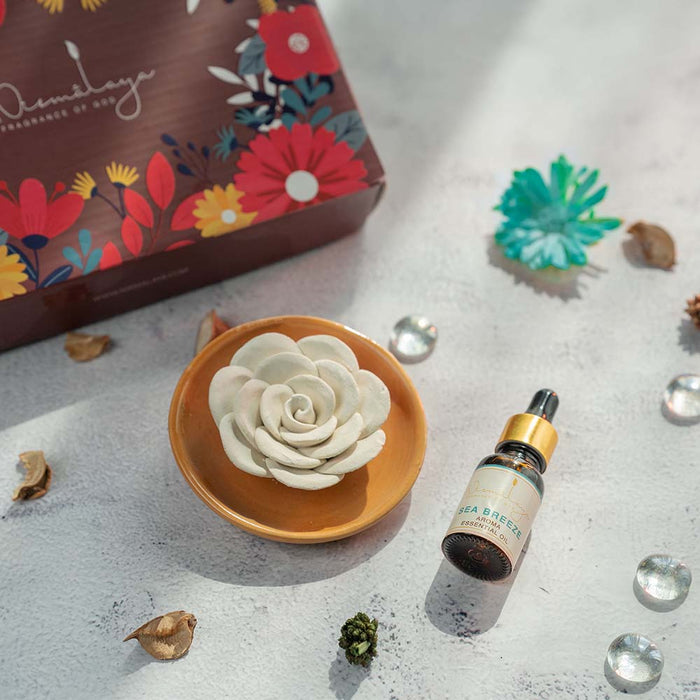 Aroma Oil Diffuser Set
                    